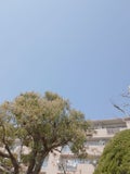 M.