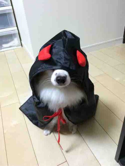 ゆうまろん☠️