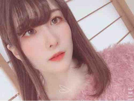 ✧*。ひつじ✧*。♡フォロバ100%