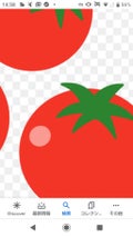 とまと🍅フォロバします🍅