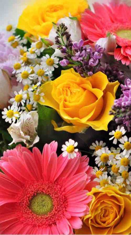 asami_イエべ_30代働きたいマン