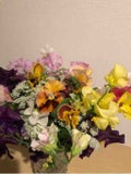 colorful_rouge_wq8f