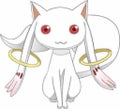 きゅうべぇ