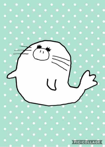 トド山ブタ美