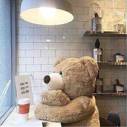 ❤︎𝐑𝐄𝐈𝐊𝐀❤︎