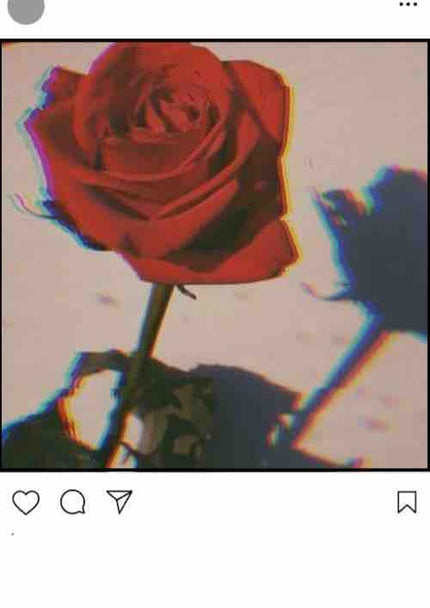 ã²ãð€ãã©ãã100%ð€