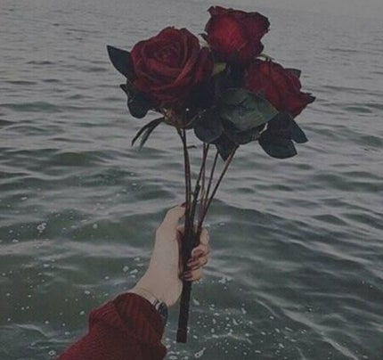 Haru_🥀⋆͛❤︎⋆͛