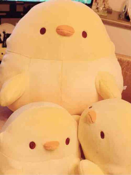 そらぴよこ