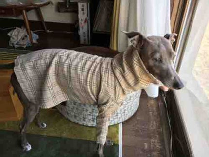 ミヤコッぺえ🧜♀️♡頑張って返します