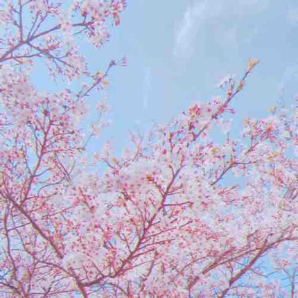 むすび。