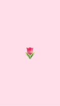 🌷