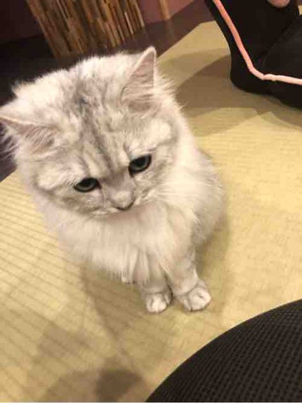 ちっちー
