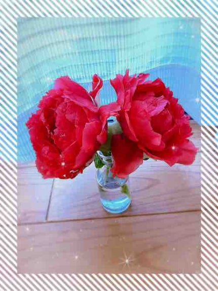 ããšã£ã¡ðŠð