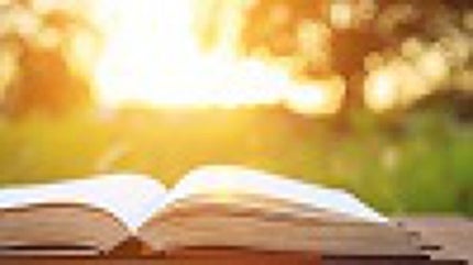 Parent and child influence