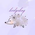 hedgehog☆*。