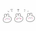 うさぎ🐰