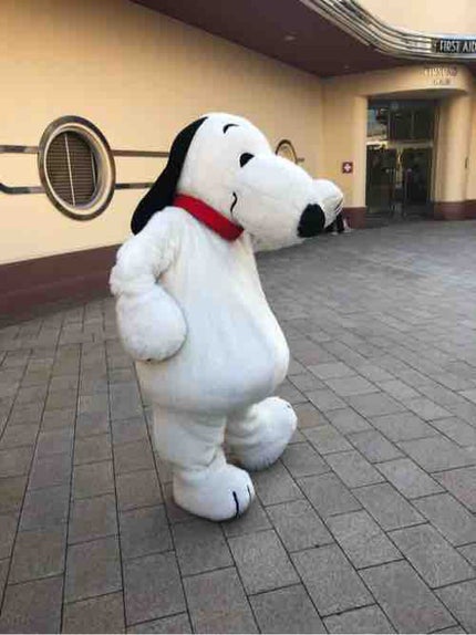 ヨーコ