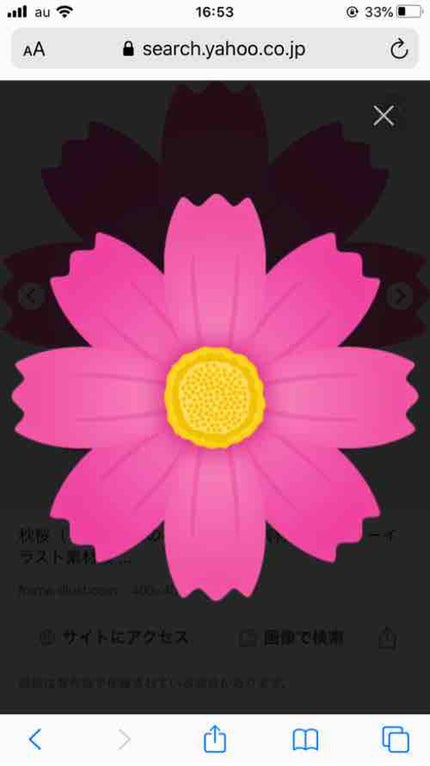 キラリ  フォロバします✨