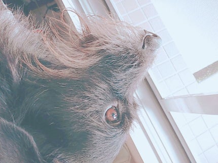 ❤︎naka&tsu❤︎