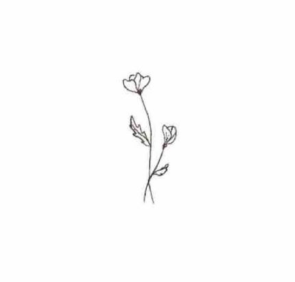 烏瓜