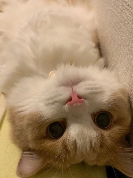 MILKだよヽ( ・∀・)ノ