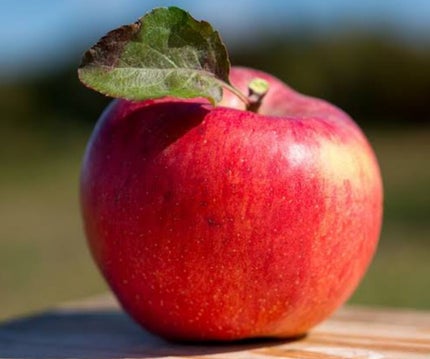 リンゴ姫👼🏼