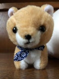 あやこ