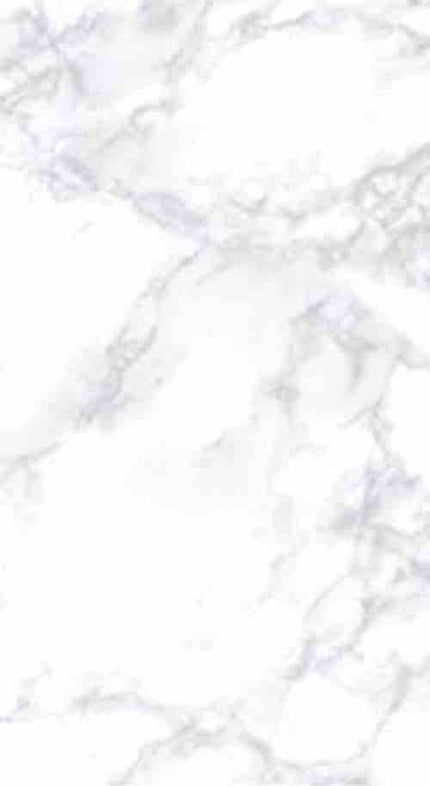 エリンギプール