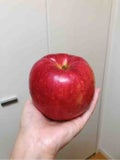 りんご🍎