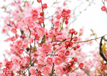 colorful_sounds_rckd