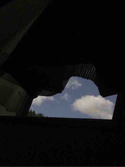 🌦アボカド🥑