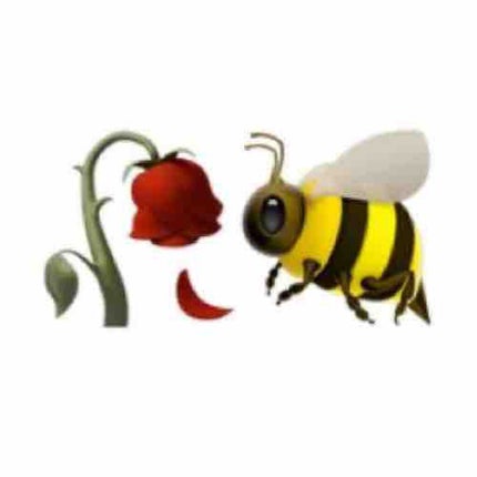 蜂屋🐝イエベ秋