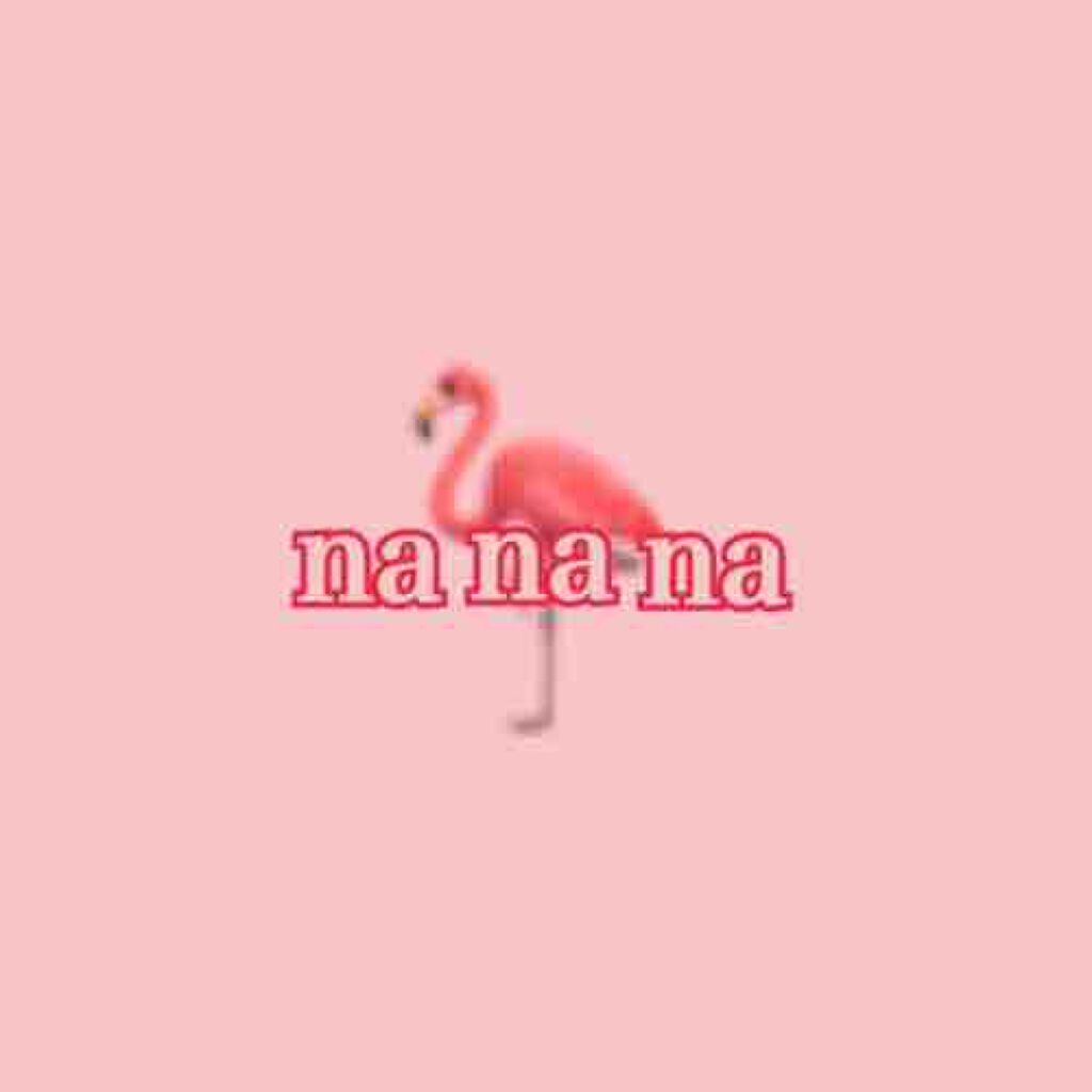 nanana🦩