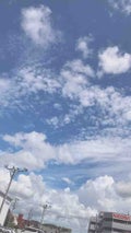 蒼