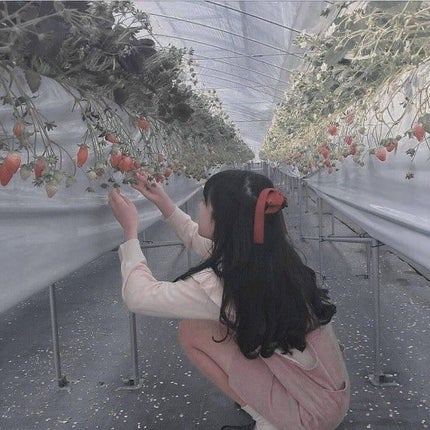 ひー