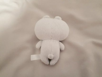 maomao@アラサー&インナードライ