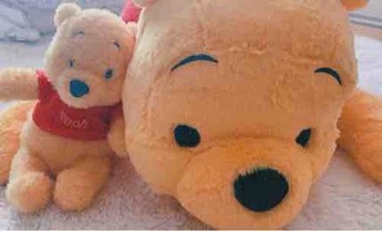 ぷーたろう🐻🍯