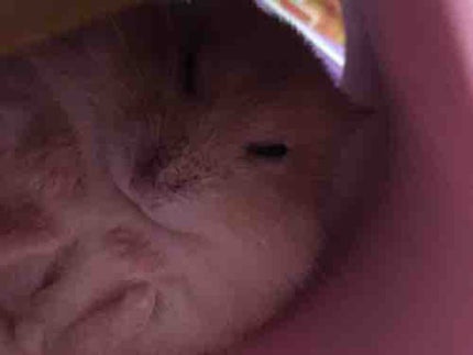 コスメのこと教えて!