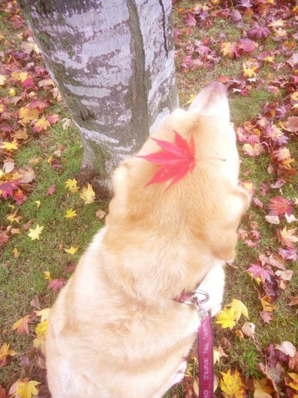 チトセ(成人式までに綺麗になる)