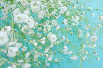 メリーゴーランド