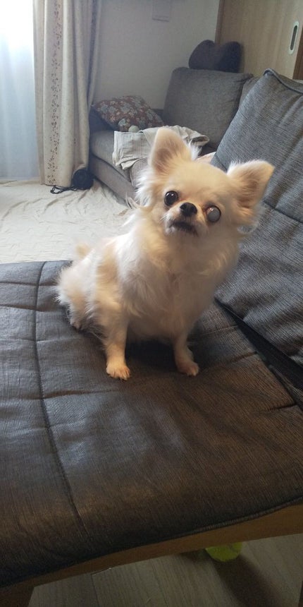 【⠀ぼたん 】量産型になりたい清楚系女子