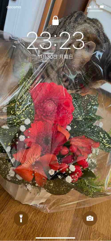 ❁ちゃんみー❁