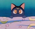 みな