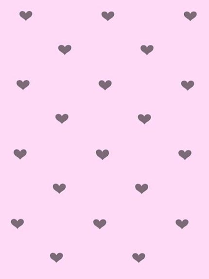 かくれくまのみ