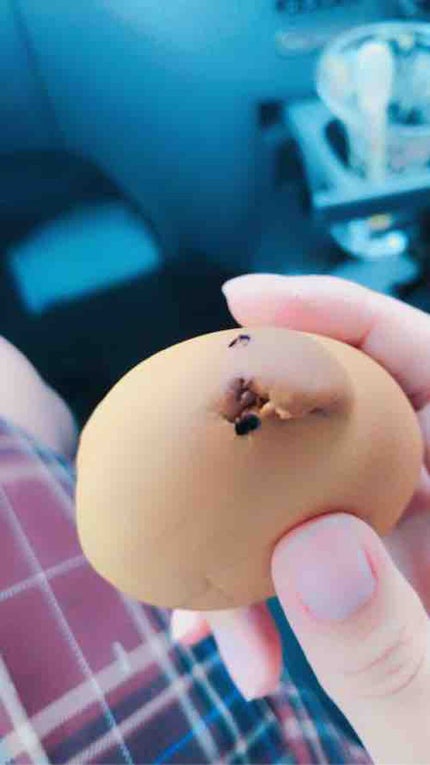 いつもみてます