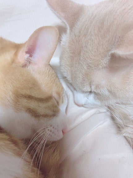 蜜はる(みはる)