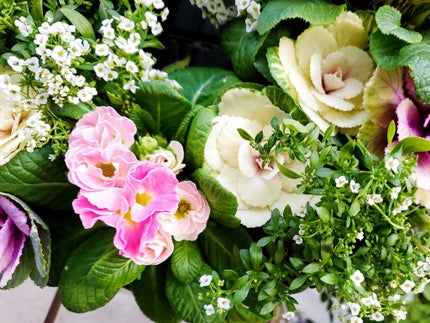 かあいいちゃん@フォロバ100