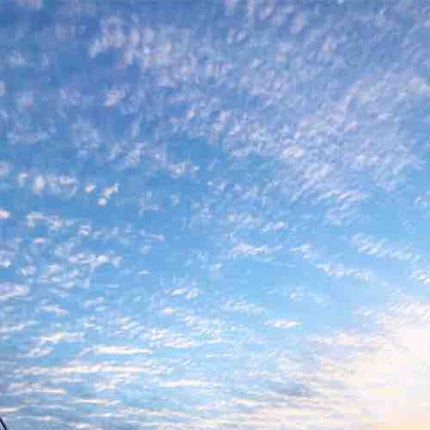 ゆみん☁️🧚♀️