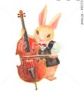 チェロ弾きのうさぎ