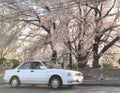 こう坊w